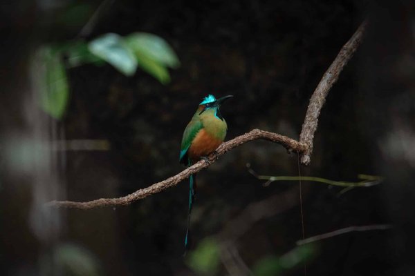 Comment le lead scoring peut-il améliorer la conversion pour un site de formation en ligne en gestion de projet?